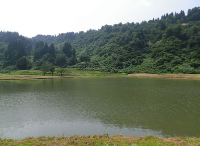 IMGP3751