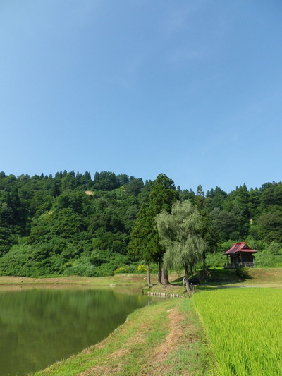 IMGP3881