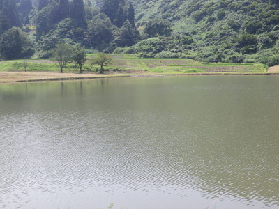IMGP3752