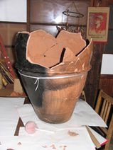 8e22d547.jpg