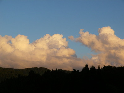 IMGP6069