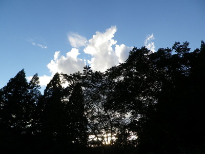 IMGP6055