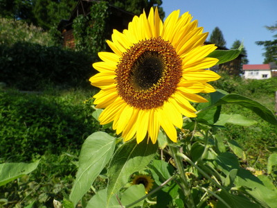 IMGP4104