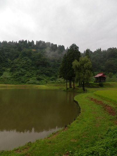 IMGP3912