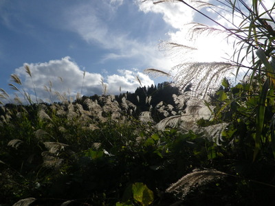 IMGP1683