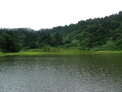 IMGP5925