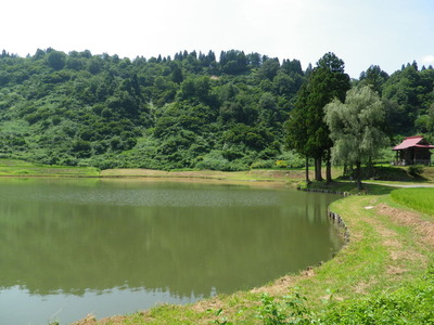 IMGP3785