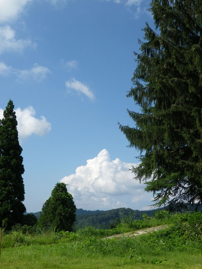 IMGP5941