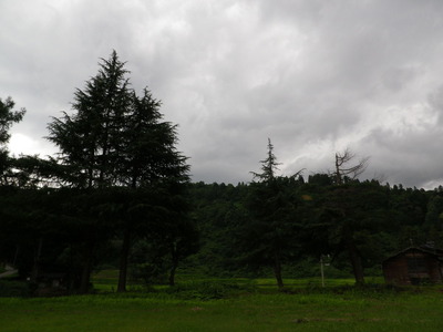 IMGP3532