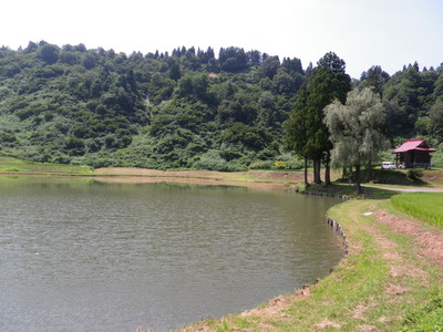 IMGP3792