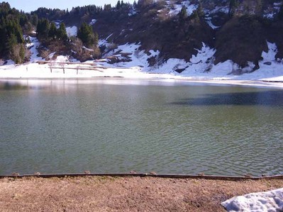 池の消氷
