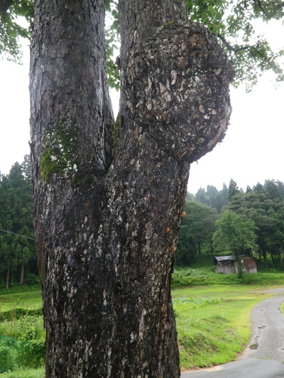 IMGP3922