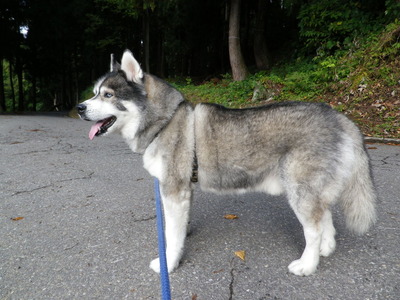 IMGP1685