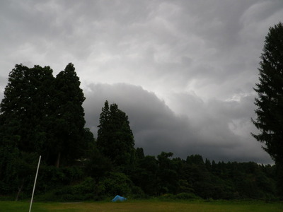 IMGP3531