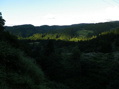 IMGP6045