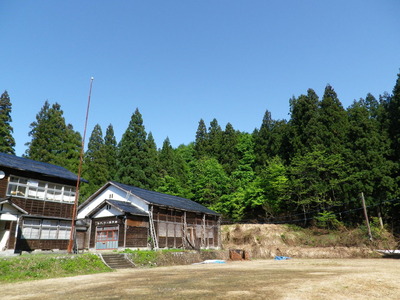 IMGP5414