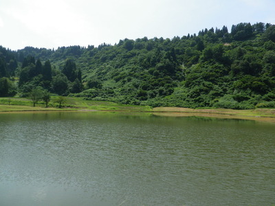 IMGP3793