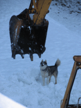 e5d55535.gif