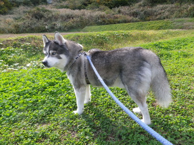 IMGP1678