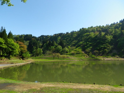 IMGP5413