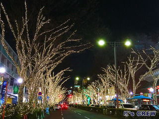 表参道イルミネーション2