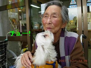 更紗2