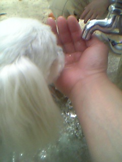 ��������Ǥޤ�