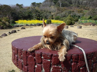 ���Ӥ����