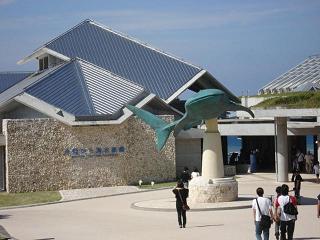 美ら海水族館4