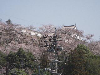 鶴山公園2