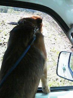 ��֤�����¤���