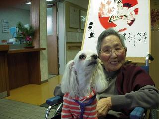 更紗1