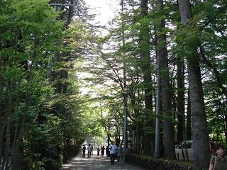 軽井沢12