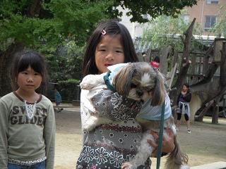 トム君1