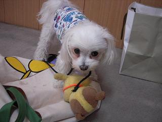 更紗1