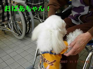 更紗1