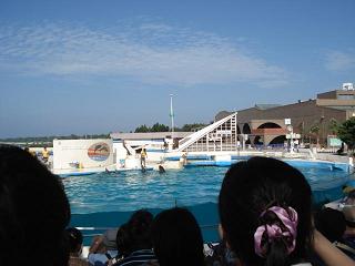 美ら海水族館11