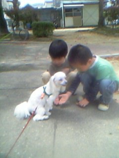 �Ҷ��˰Ϥޤ��