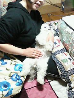 更紗は満足じゃ