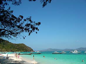 コーラル島
