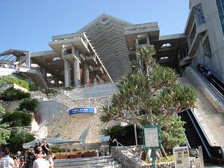 美ら海水族館10