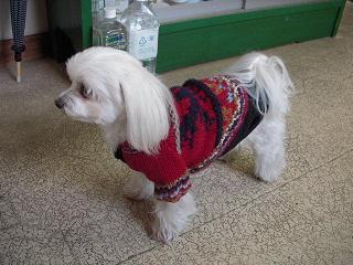 更紗1