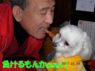 更紗12