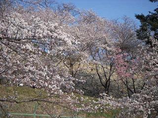 鶴山公園3