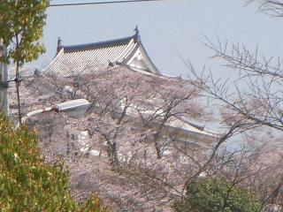 鶴山公園