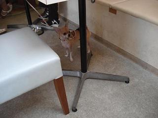 チップ