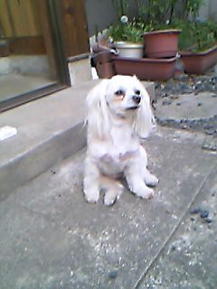 ���ޡ����å�