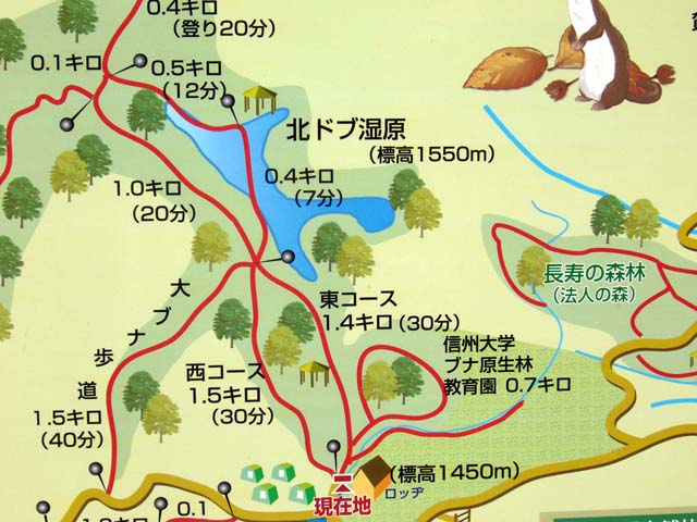 カヤの平高原キャンプ場 長野県 木島平村 Hr17 Je1rbv Outdoor Style