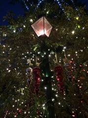 Capi Lights1