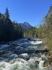 Golden Ears2